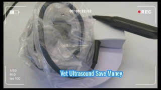 Đầu dò siêu âm Mindray 75L50EAV Vet